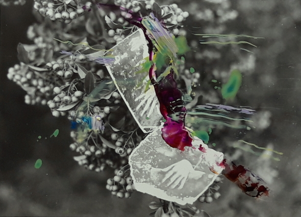 � copyrighted photo