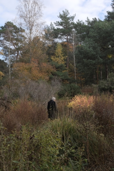 Click image     °°°7-ph_09-f_127°°° preview